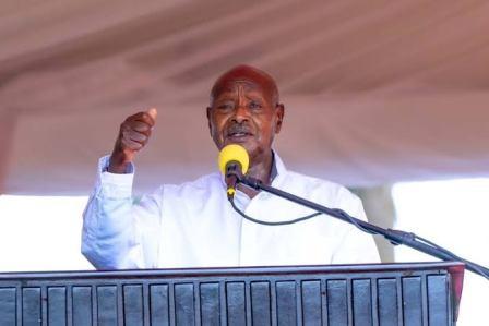 “Talk, Don’t Fight”: Museveni Tells EU Envoy That Dialogue Is Congo’s Only Road Out of War